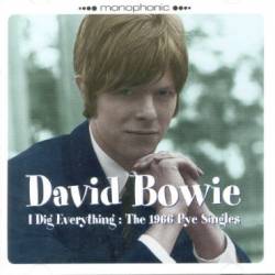 David Bowie : Dig Everything : the 1966 Pye Singles